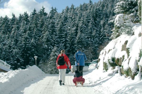 Familie mit Schlitten bei Winterwanderung in Willingen