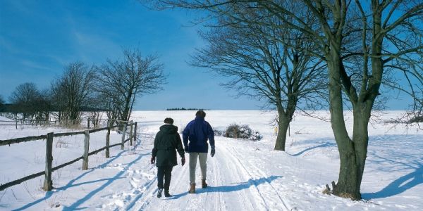 Winterwandern auf der Hochebene in Usseln bei Willingen/Sauerland